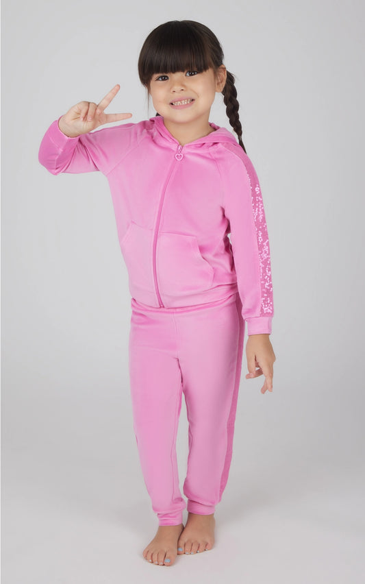 Toddler Girls Velour Sequin Detailed Hoodie and Jogger Set